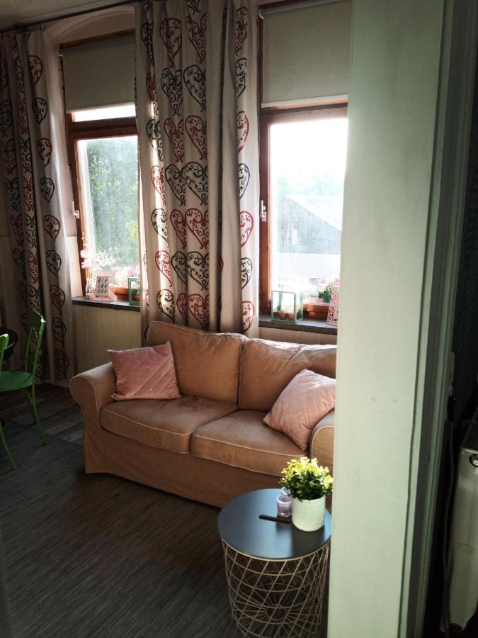 Zur Friedrichsruh Panzió Oelsnitz/Vogtl. Kültér fotó