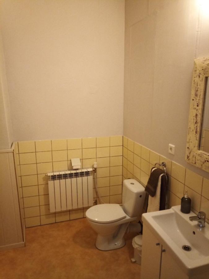 Zur Friedrichsruh Panzió Oelsnitz/Vogtl. Kültér fotó