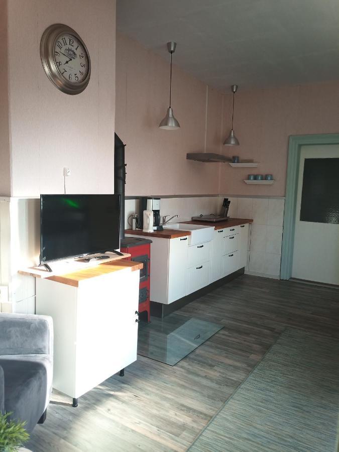 Zur Friedrichsruh Panzió Oelsnitz/Vogtl. Kültér fotó